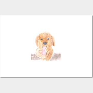 Watercolor Golden Retriever Puppy Posters and Art